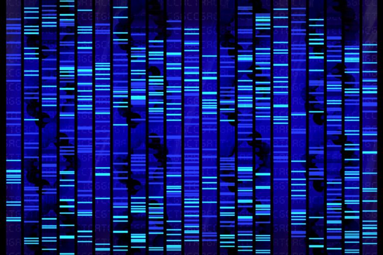 DNA sequence in bright blue - idea of genetics/genomics