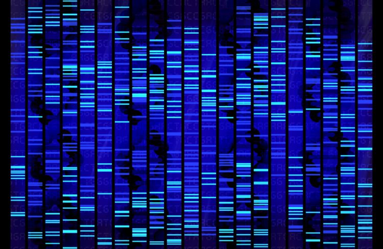 DNA sequence in bright blue - idea of genetics/genomics