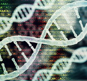 DNA strands in front of coloured letters referencing bases in the genetic code