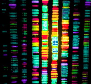 Genomic sequencing