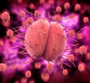 gonorrhoea