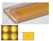 Figure 1b: Planar patch plate as utilized by the IonWorks platform – this is a 384 well substrate, based on a 1536 SBS plate well geometry. The standard single cell patch plates contain a single aperture in each well forming the recording site.