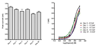 Figure 4: Utility of cryopreserved cells for automated electrophysiology. CHO-BKCa cells were frozen as aliquots in growth media supplemented with DMSO and maintained at -80°C for up to 20 days. On the indicated days cells were rapidly thawed at 37°C, washed and re-suspended in extracellular buffer immediately prior to recording on the IonWorks platform. Cell line performance was unaffected by cryopreservation for up to 20 days as indicated by no significant changes in either peak current amplitudes (A) or pharmacological response to a known channel activator (B). Data are mean ± sem (A, n > 64 for each time point; B, n = 8 for each opener concentration).