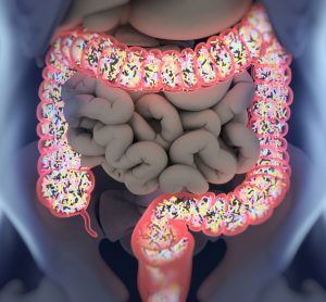 gut-microbiome