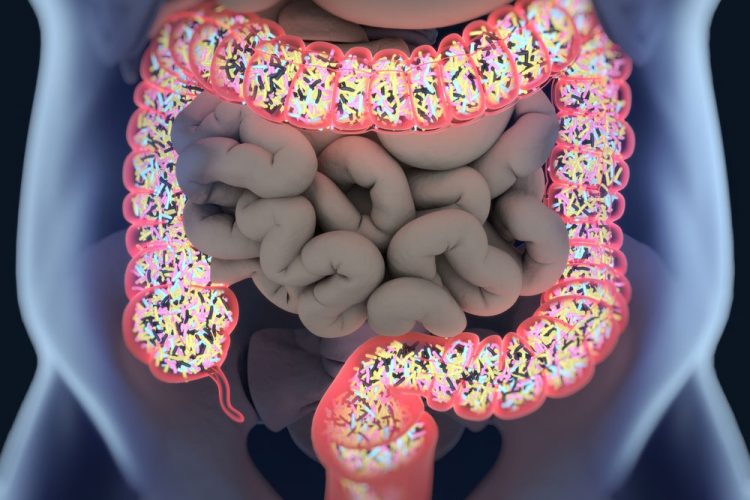 gut-microbiome