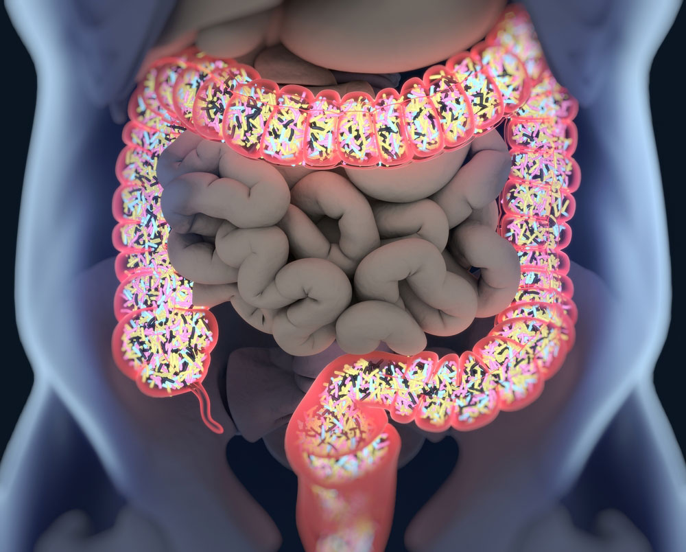 gut-microbiome