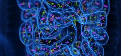 Gut microbiome key in Parkinson’s, suggests study