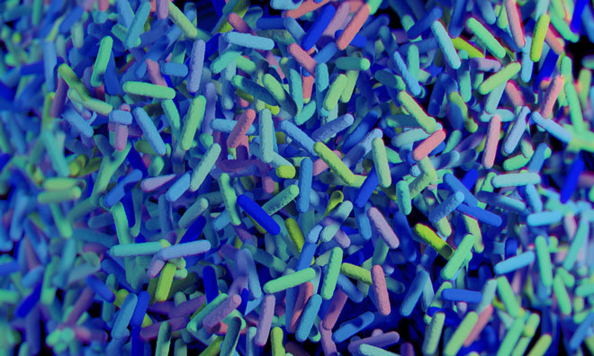 microbiome