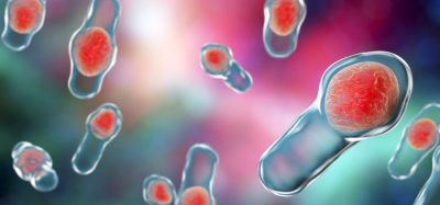 Live from CPHI: ‘Gut microbiome therapy to be approved in next two years’