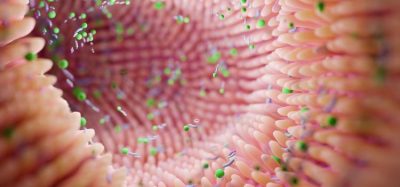 Gut microbiome linked to cancer CAR T therapy response