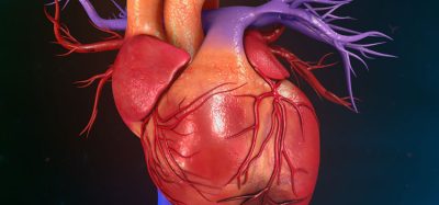 image of heart