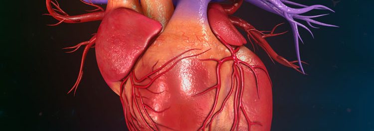 image of heart