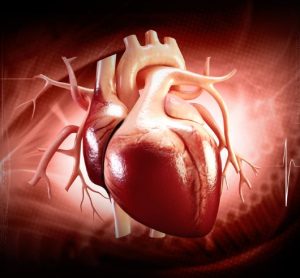 Cell therapy first for chronic heart failure
