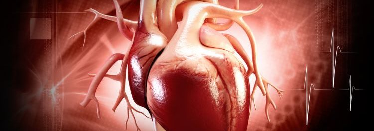 Cell therapy first for chronic heart failure