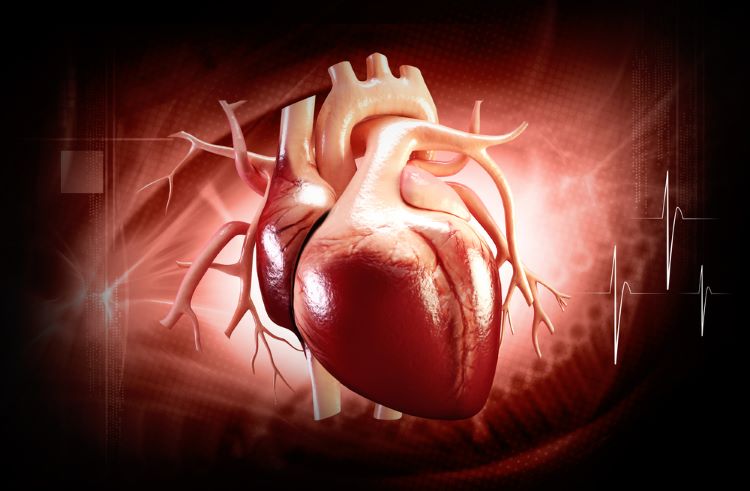 Cell therapy first for chronic heart failure