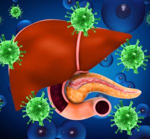 Three dimensional illustration of liver organ being attacked by hepatitis viruses