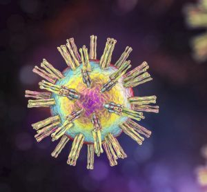 3D illustration of multicoloured herpes simplex viruses on a dark background
