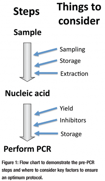 huggett - figure 1