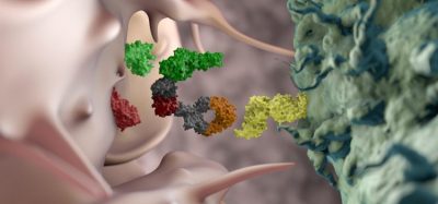 NK cell immunotherapy: what’s next in clinical development?