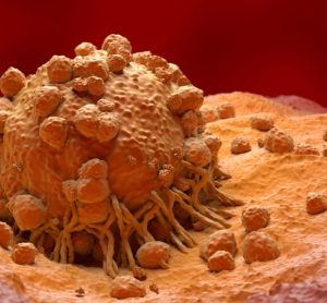 Novel delivery approach demonstrates efficacy of immunotherapy
