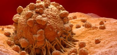 Novel delivery approach demonstrates efficacy of immunotherapy