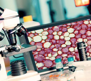 innovent oncology