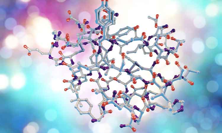 peptide