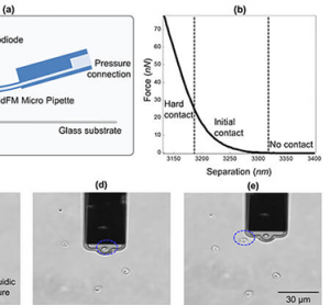 Flex-FPM used to assess water contamination risk from oocyst stiffness