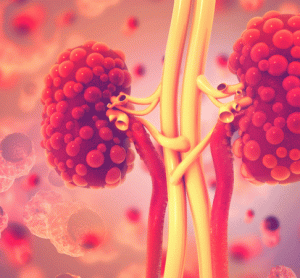 direct oral anticoagulants kidney disease