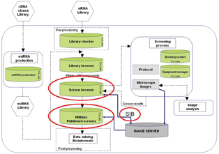 Figure 1: Architecture and modules of the HCS LIMS platform