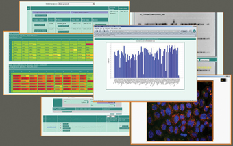 Figure 2: Various visualization procedures such as scatter plots, bar plots or tables simplify assessment of screen results