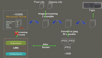 Figure 7: Automated data flow of the HCS facility of the Max Planck Institute in Dresden, Germany