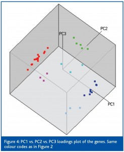 kubista figure 4