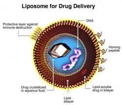 High Pressure Homogenisation & the next generation of drug delivery: Liposomes