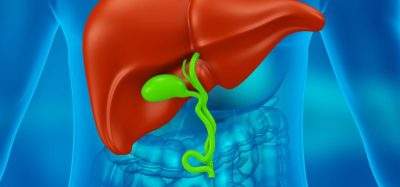Developing novel therapies for NASH