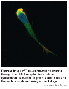 long - Figure 1