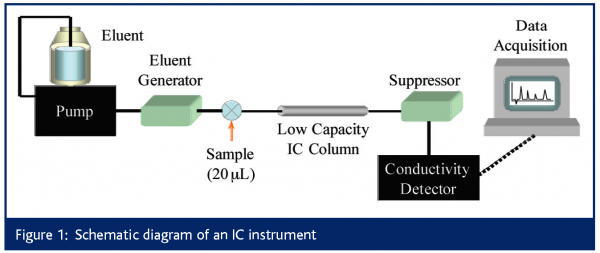 lucy figure 1