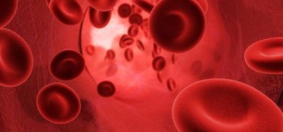 Wiskott-Aldrich syndrome CHMP gene therapy