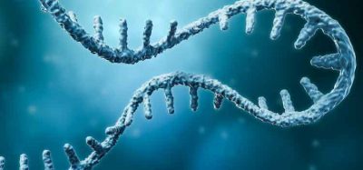 mRNA