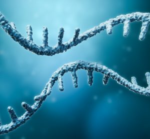 3D illustration of a strand of messenger RNA (mRNA)