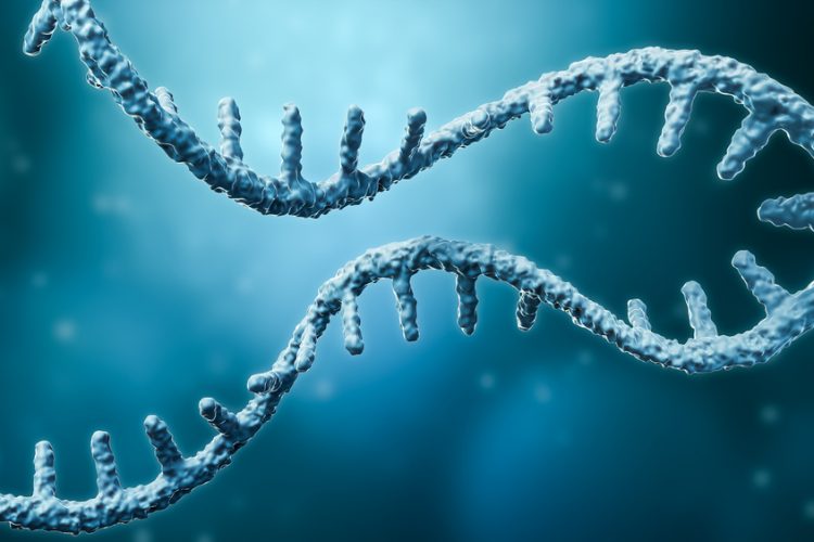 3D illustration of a strand of messenger RNA (mRNA)