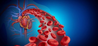 Combination therapy of macitentan plus tadalafil significantly improves pulmonary hemodynamics