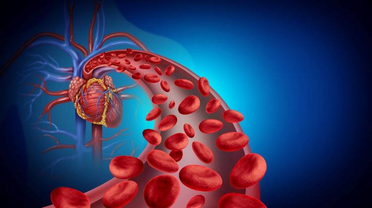 Combination therapy of macitentan plus tadalafil significantly improves pulmonary hemodynamics