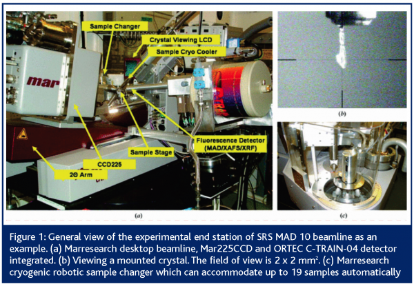 maclean figure 1