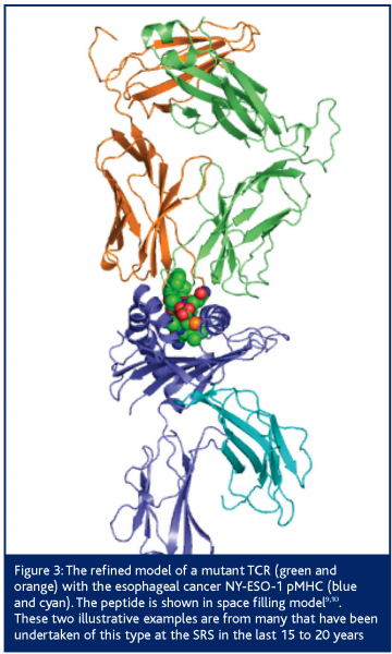 maclean figure 3