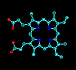porphyrin molecular structure, a macrocycle