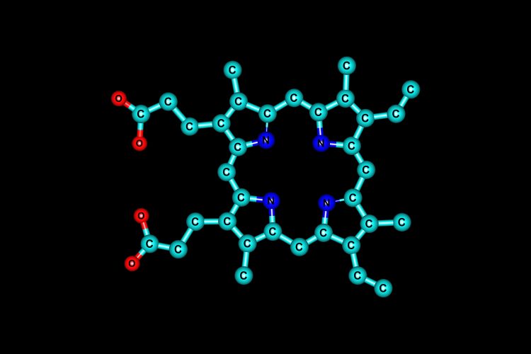 porphyrin molecular structure, a macrocycle