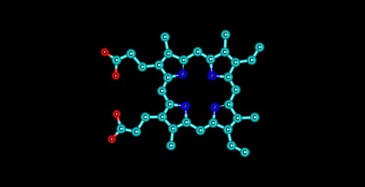 porphyrin molecular structure, a macrocycle