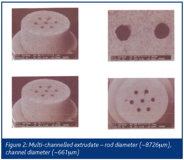 mascia figure 2