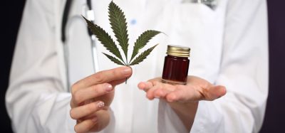 medical cannabis image